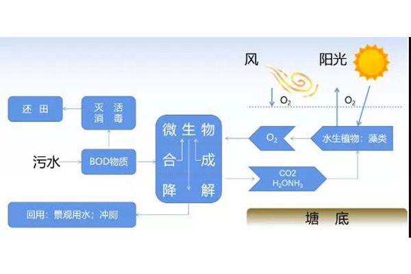 1644821745373859.jpg 7.jpg